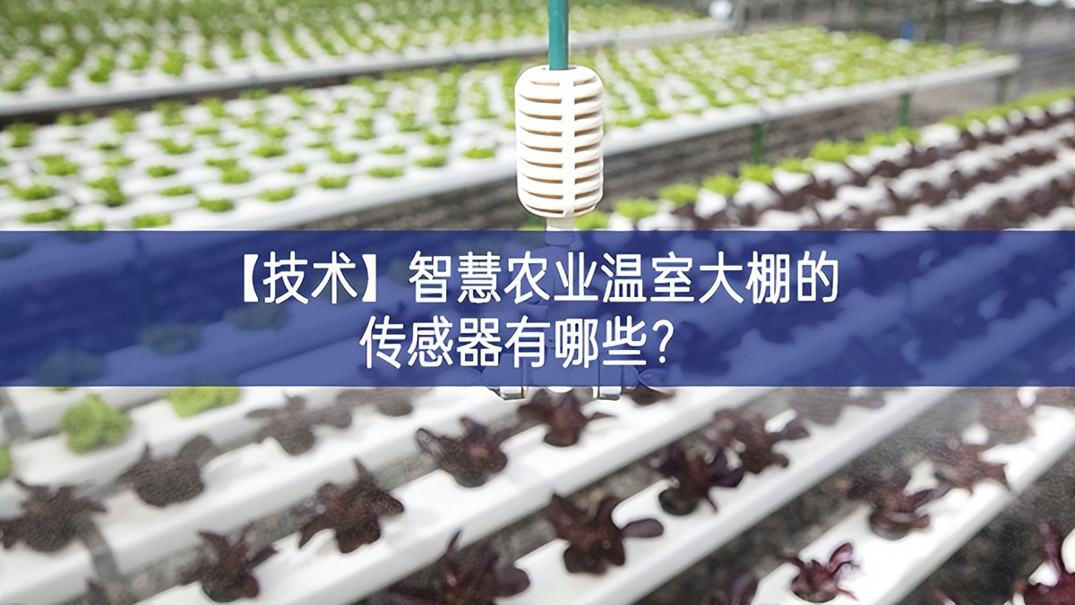 【技術】智慧農業(yè)溫室大棚的傳感器有哪些?