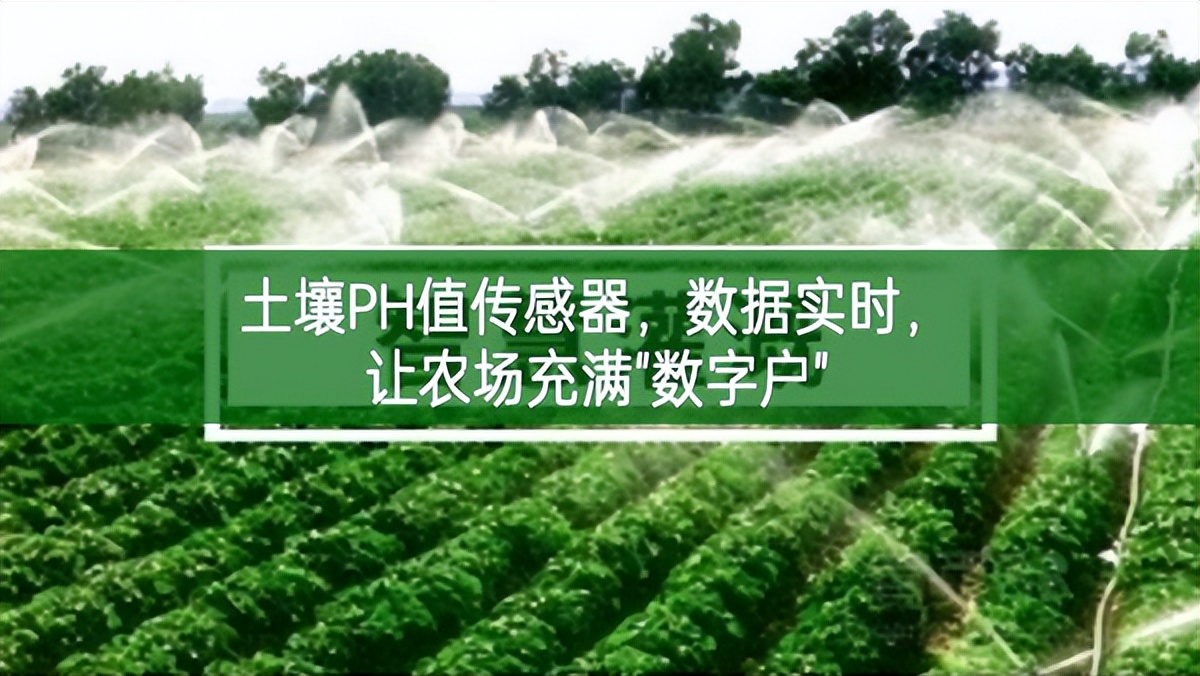 土壤PH值傳感器，數(shù)據(jù)實(shí)時(shí)，讓農(nóng)場(chǎng)充滿"數(shù)字戶"