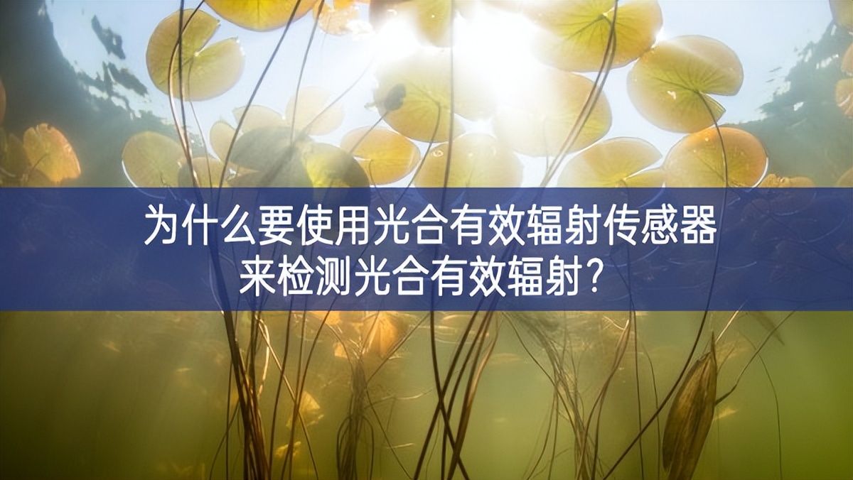 為什么要使用光合有效輻射傳感器來檢測光合有效輻射？