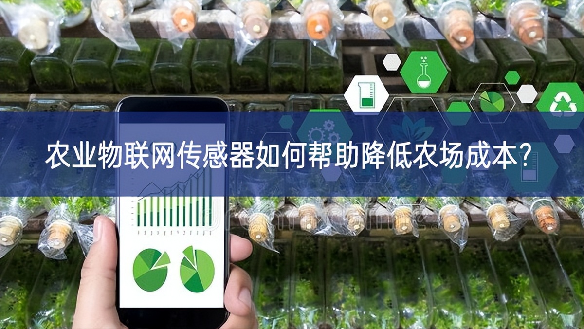 農(nóng)業(yè)物聯(lián)網(wǎng)傳感器如何幫助降低農(nóng)場成本？