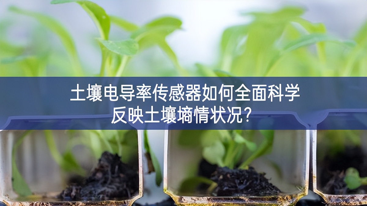 土壤電導(dǎo)率傳感器如何全面科學(xué)反映土壤墑情狀況？