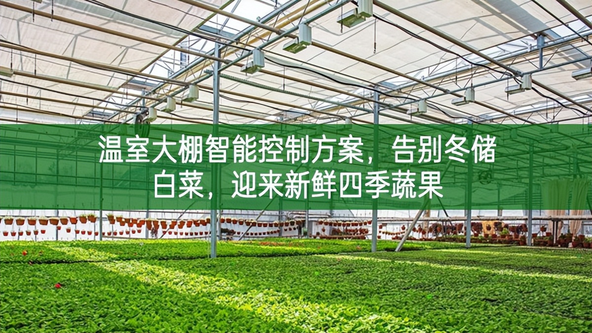 溫室大棚智能控制方案，告別冬儲(chǔ)白菜，迎來新鮮四季蔬果