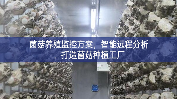 菌菇養(yǎng)殖監(jiān)控方案，智能遠(yuǎn)程分析，打造菌菇種植工廠