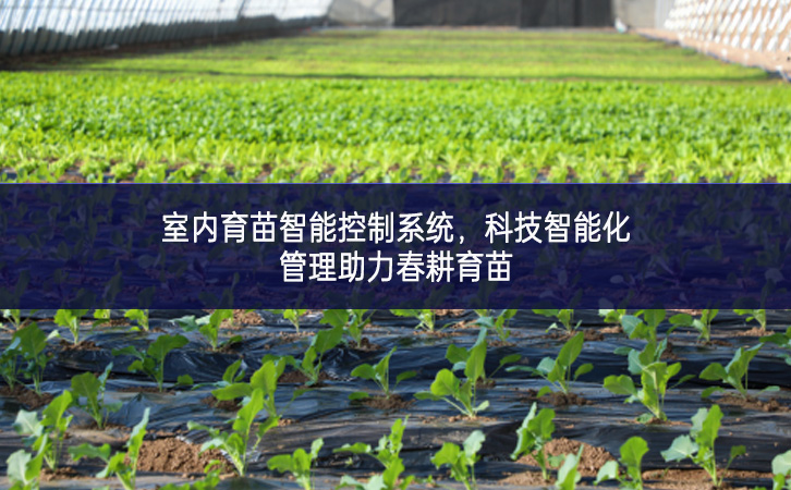 室內(nèi)育苗智能控制系統(tǒng)，科技智能化管理助力春耕育苗