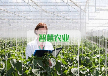 春雷一聲 驚蟄到，聚英智慧農(nóng)業(yè)系統(tǒng)助力農(nóng)業(yè)春耕