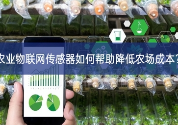 農業(yè)物聯網傳感器如何幫助降低農場成本？