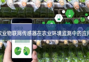 農業(yè)物聯網傳感器在農業(yè)環(huán)境監(jiān)測中的應用