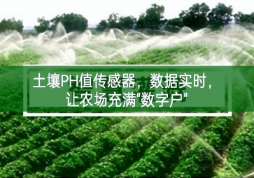 土壤PH值傳感器，數(shù)據(jù)實時，讓農(nóng)場充滿"數(shù)字戶"