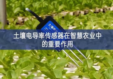土壤電導率傳感器在智慧農業(yè)中的重要作用