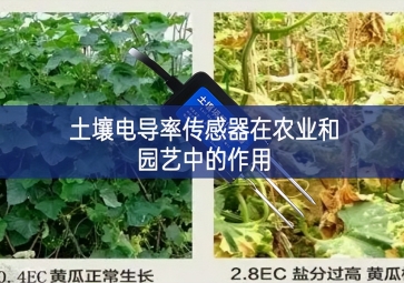 土壤電導率傳感器在農業(yè)和園藝中的作用