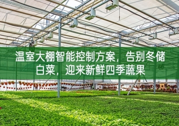 「智慧農(nóng)業(yè)」溫室大棚智能控制方案，告別冬儲白菜，迎來新鮮四季蔬果