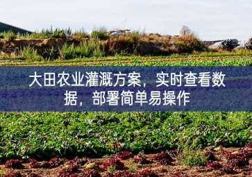 「智慧農(nóng)業(yè)」大田農(nóng)業(yè)灌溉方案，實(shí)時(shí)查看數(shù)據(jù)，部署簡(jiǎn)單易操作
