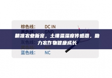 精準(zhǔn)農(nóng)業(yè)新寵，土壤溫濕度傳感器，助力農(nóng)作物健康成長(zhǎng)